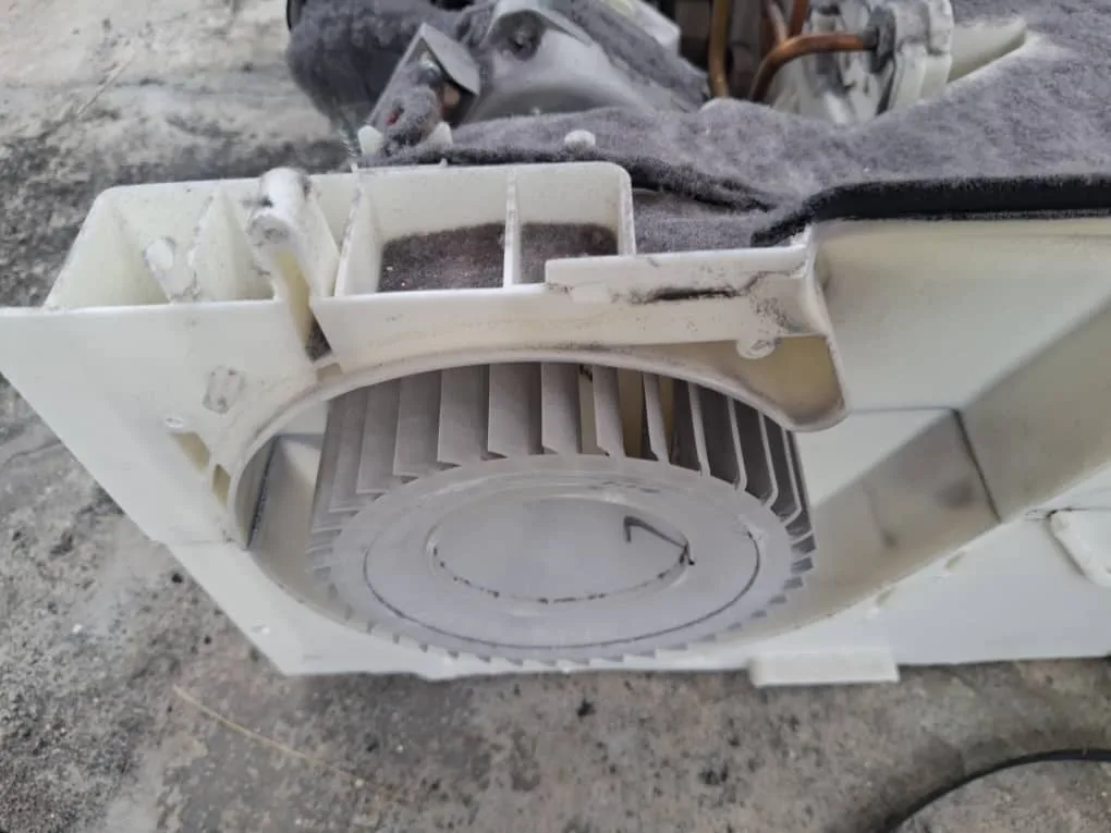 Dryer lint and airflow cleaning